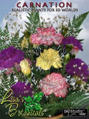 Lisas Botanicals – Carnation-丽莎植物康乃馨