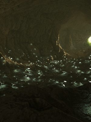 Mushroom Cave-蘑菇洞