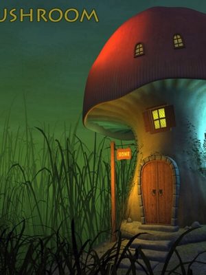 Real mushroom house-真正的蘑菇屋