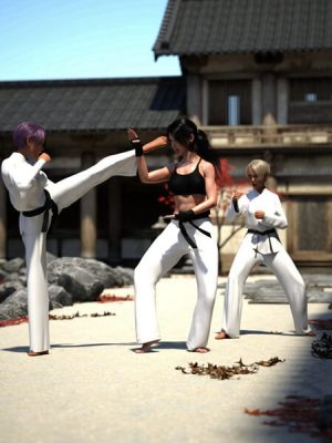 Kyokushin Karate Pose Pack for Genesis 8-京都空手道姿势包为创世纪8