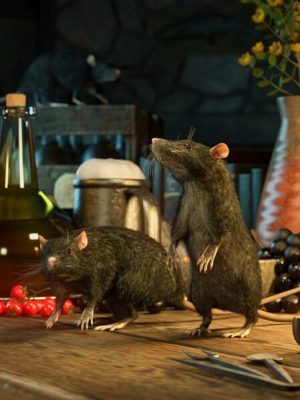 LoREZ Rat 2-鼠2