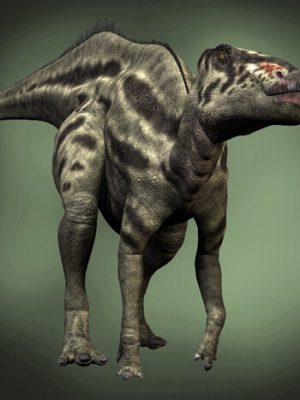 ShantungosaurusDR-尚通哥苏鲁斯德尔