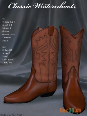 Mystheros Classic Westernboots-迈瑟罗斯经典西部靴子