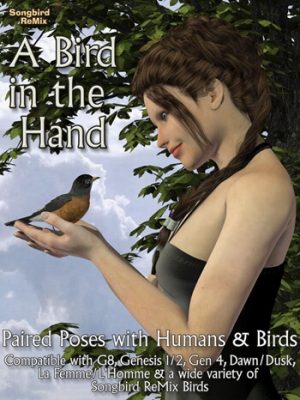 Songbird ReMix A Bird in the Hand-鸣鸟重新混合一只鸟的手
