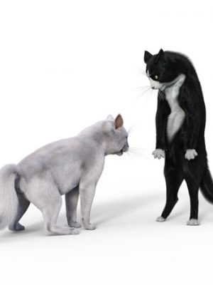 Poses for Tuxedo for Cat Zeus-为猫宙斯摆燕尾服