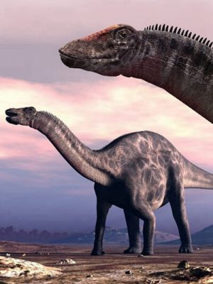 Dicraeosaurus-双龙