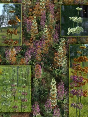 Candelabra Primula Flowers and Plants-烛台花和植物